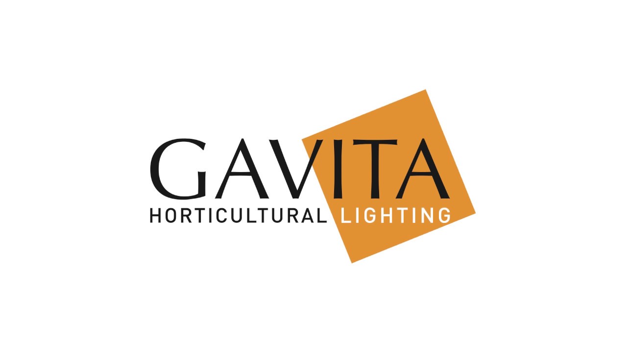 gavita gavita