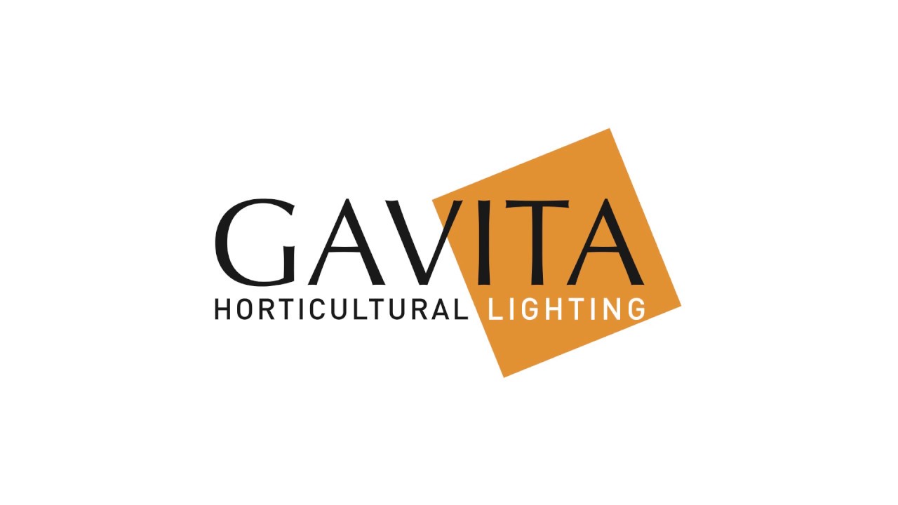 gavita