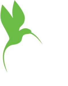 lbm labs logo